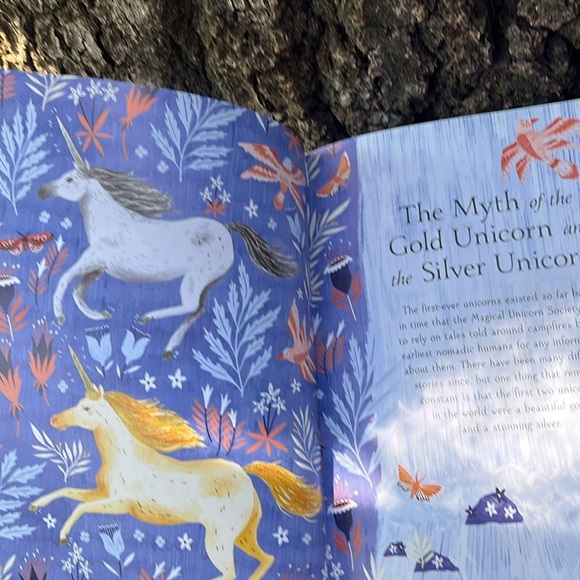 Book - The Magical Unicorn Society Official Handbook w/ Wonderful Illustrations - Picture 7 of 8